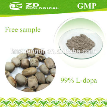 Increases muscles density Mucuna Pruriens Seeds L-dopa in Herbal Extract